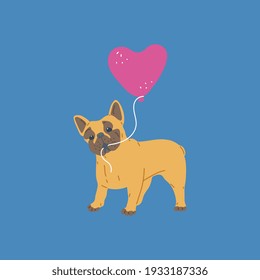 Pet animal, dog breed french bulldog with pink balloon in heart shape. Vector illustration of cute purebred puppy for holiday valentines day card or birthday.