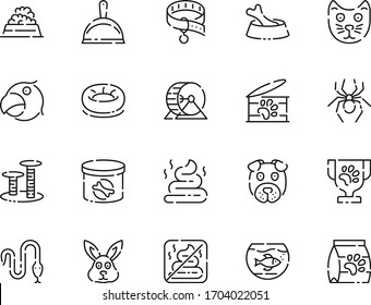 Pet and animal icon. Domestic icon. Parrot icon.