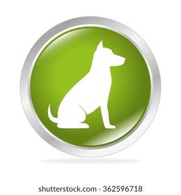Pet and animal shop