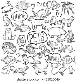 Pet Animals House Doodle Icons Hand Made Vector Illustration Sketch.