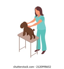 Pet animals isometric composition with character of female veterinarian examining dog on table vector illustration