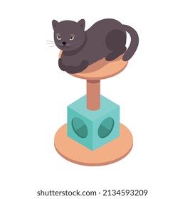 Composición isométrica de animales de compañía con visión aislada de cabinas de gato con alta ilustración vectorial de base