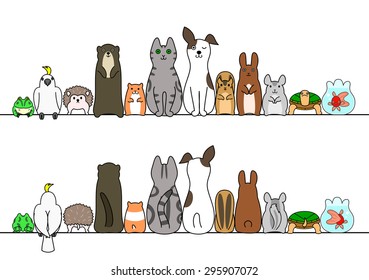 Pet animals in line, front and back