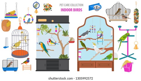 Pet appliance icon set flat style isolated on white. Birds care collection. Create own infographic about parrot, parakeet, canary, thrush, finch, amadina, siskin,  toucan, bunting. Vector illustration