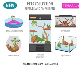 Pet appliance icon set flat style isolated on white. Reptiles and amphibians care collection. Create own infographic. Vector illustration