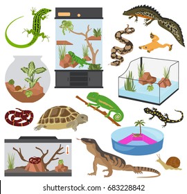 Pet appliance icon set flat style isolated on white. Reptiles and amphibians care collection. Create own infographic. Vector illustration