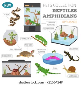 Pet appliance icon set flat style isolated on white. Reptiles and amphibians care collection. Create own infographic. Vector illustration
