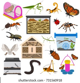 Pet appliance icon set flat style isolated on white. Insects care collection. Create own infographic about beetle, bug, butterfly, stick, mantis, spider, cricket etc. Vector illustration