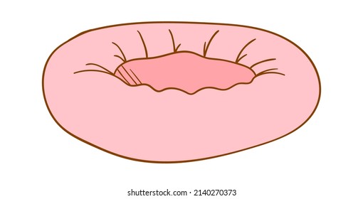 Pet Bed for Cat or Dog. Vector illustration