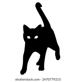 pet
beloved animal
lovely animal
funny cat