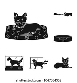 Pet black icons in set collection for design. Care and education vector symbol stock web illustration.