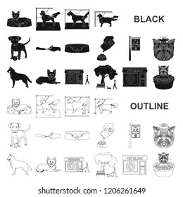 Pet black icons in set collection for design. Care and education vector symbol stock web illustration.