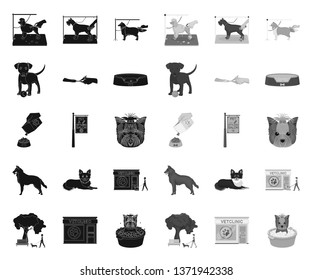 Pet black.mono icons in set collection for design. Care and education vector symbol stock web illustration.