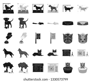 Pet black,monochrome icons in set collection for design. Care and education vector symbol stock web illustration.