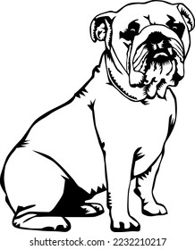 Pet Bulldog Sitting Vector Illustration