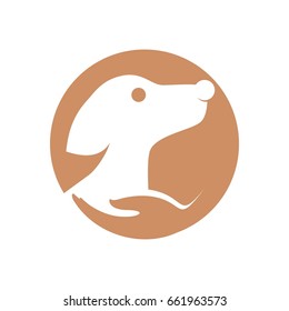 Pet Care