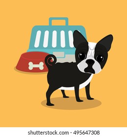 pet care center service icons vector illustration design