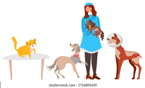 Pet care center, woman volunteer in veterinary clinic or animal shelter with dogs and cat, vector illustration. Hand drawn girl cartoon character helping injured animals, pet rehabilitation vet center