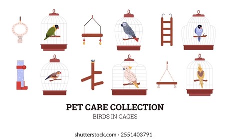 Coleta de cuidados com animais. Desenhos animados com pássaros bonitos sentam-se em gaiolas de pássaros. Balanço decorativo, escada, bebedor, brinquedos e equipamentos isolados. Acessórios vetoriais para papagaio exótico doméstico