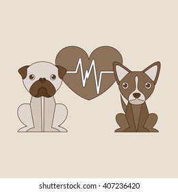 pet care concept design 