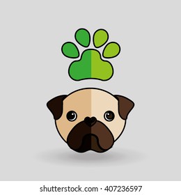 pet care concept design 