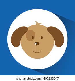 pet care concept design 