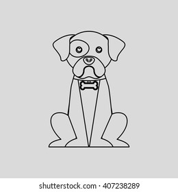 pet care concept design 