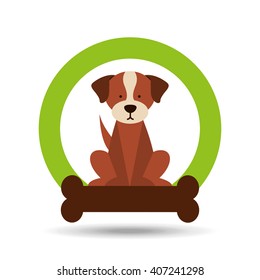 pet care concept design 