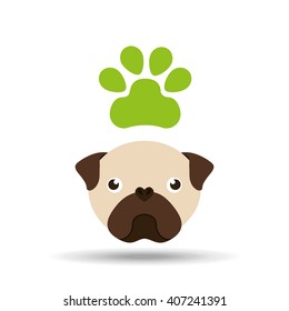 pet care concept design 