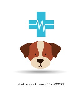 pet care concept design 
