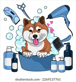 Pet care concept illustration. Grooming in the salon, mobile pet shop. Pet grooming service, clean and fluffy, bath, nail trims, haircuts.