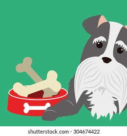 Pet care digital design, vector illustration 10 eps graphic
