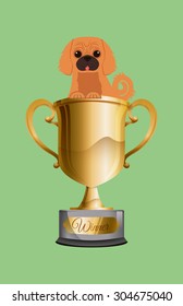 Pet care digital design, vector illustration 10 eps graphic