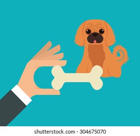 Pet care digital design, vector illustration 10 eps graphic