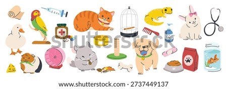 Pet care elements vector illustration set with cats, dogs, birds and grooming items. Hand drawn cartoon design for icons, stickers, pet shop branding and packaging.