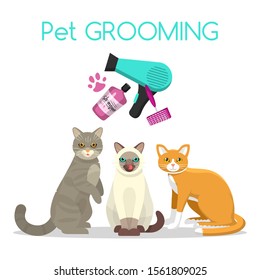Pet care grooming banner vector illustration. Three cute cats with shampoo, brush and dryer. Web banner of pets grooming supplies.