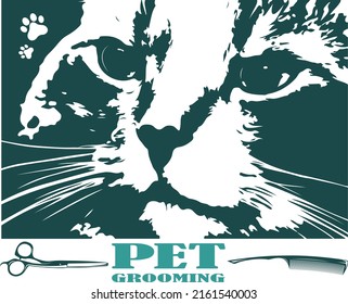 Pet care and haircut. Cute cat muzzle and comb scissors