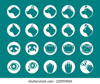 pet care icons