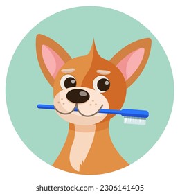 Pet care illustration for content, label, banner, graphic and greeting card. Pet care. Dog with a toothbrush.