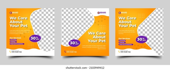 Pet care and shop square banner template design collection. Editable playful banner design with place for the photo. Usable for social media post, banner, and web ad.