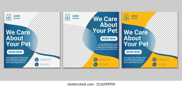 Pet Care Social Media Post Design