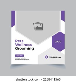 Pet care social media post. pet shop web template