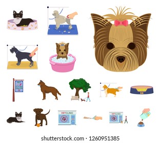 Pet cartoon icons in set collection for design. Care and education vector symbol stock web illustration.