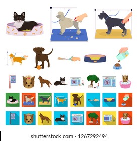 Pet cartoon,flat icons in set collection for design. Care and education vector symbol stock web illustration.