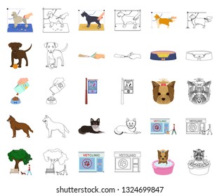 Pet cartoon,outline icons in set collection for design. Care and education vector symbol stock web illustration.