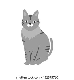 Pet Cat