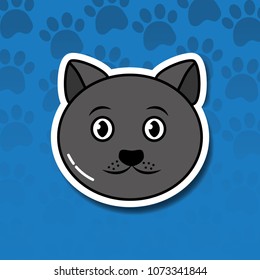 pet cat and dog