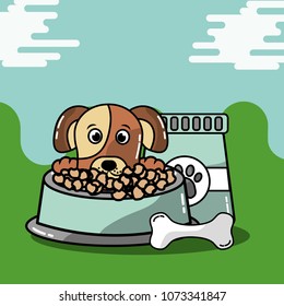 pet cat and dog