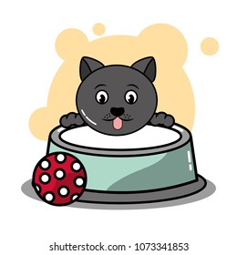pet cat and dog