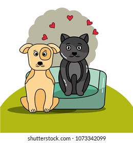 pet cat and dog